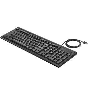 HP 100 Wired USB Keyboard 